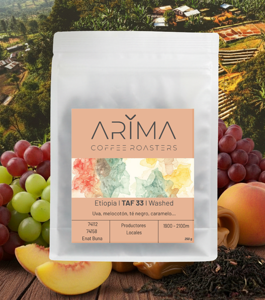 TAF 33 I Etiopia I Washed