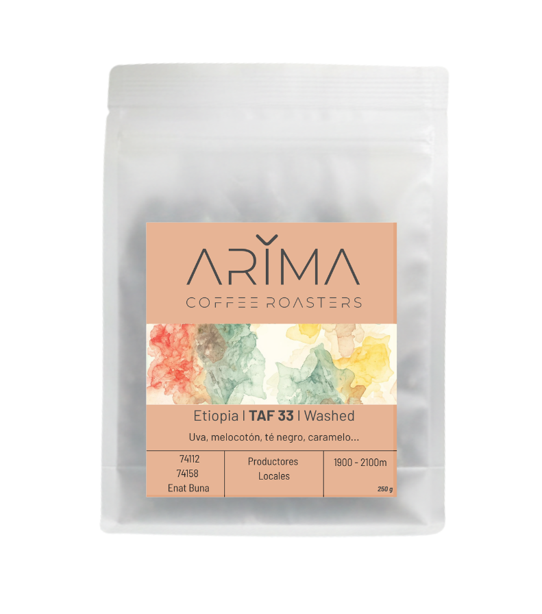 TAF 33 I Etiopia I Washed